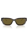 Diesel ® Geck-d 56mm Rectangular Sunglasses In Shiny Dark Havana/brown