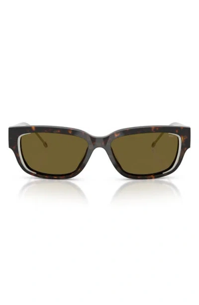 Diesel ® Geck-d 56mm Rectangular Sunglasses In Shiny Dark Havana/brown
