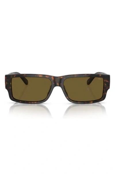 Diesel ® Geck-d 57mm Rectangular Sunglasses In Shiny Dark Havana/solid Brown