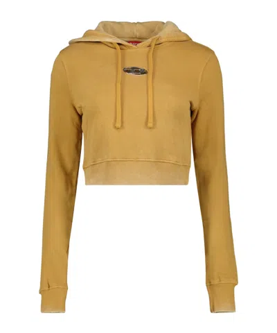 Diesel Hooded Sweater In Brown