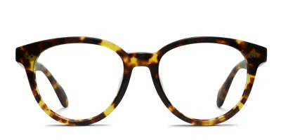 Diff Carly Tortoise