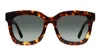 Diff Carson Tortoise In Tortoise