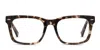 Diff Daria Tortoise In Tortoise
