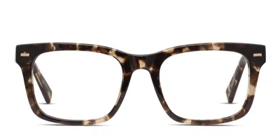 Diff Daria Tortoise