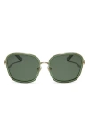 Diff Genevive 57mm Polarized Square Sunglasses In Green