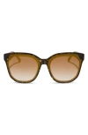 Diff Gia 62mm Oversize Square Sunglasses In Brown