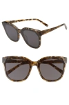 Diff Gia 62mm Oversize Square Sunglasses In Sea Turtle Tortoise/grey
