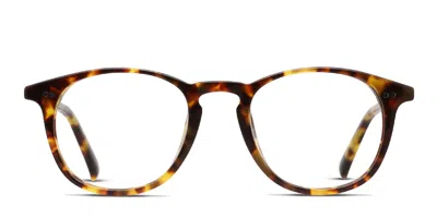 Diff Jaxson Tortoise