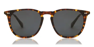 Diff Justin Baldoni Maxwell+amber Tortoise Grey Lens Men's Sunglasses Tortoiseshell Size 49 In Brown