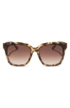 Diff Madison 63mm Oversize Square Sunglasses In Brown