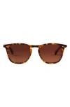 Diff Maxwell 51mm Polarized Square Sunglasses In Toasted Coconut/brown
