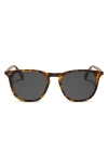 Diff Maxwell Xl 52mm Polarized Square Sunglasses