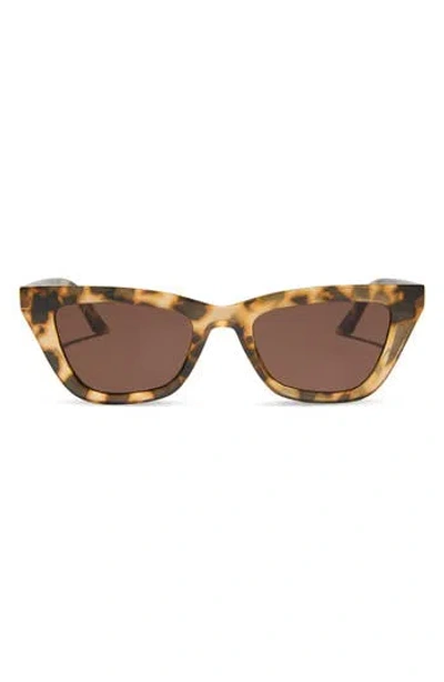 Diff Noelle 50mm Cat Eye Sunglasses In Brown