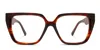 Diff Olive Brown,tortoise In Brown,tortoise