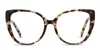 Diff Penelope Tortoise In Tortoise