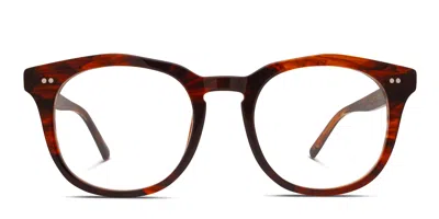 Diff Weston Brown,tortoise