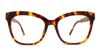 Diff Winston Tortoise,yellow In Tortoise,yellow