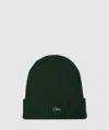 Dime Cursive Fold Beanie In Forest