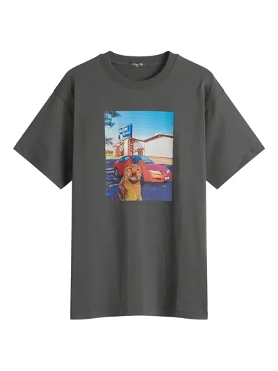 Dime Selfie T-shirt In Gray