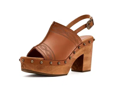 Dingo Clover In Multi