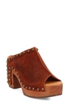 Dingo Echo Clog
