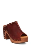 Dingo Echo Clog