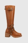 Dingo Fillmore Studded Knee High Boot In Brown