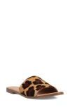 Dingo Tabby Genuine Calf Hair Slide Sandal In Brown