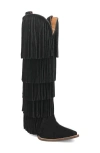 Dingo Wild Child Fringe Knee High Western Boot In Black