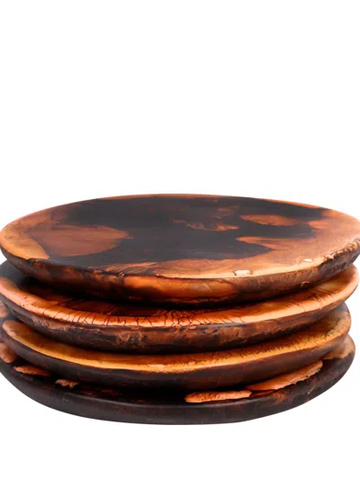 Dinosaur Designs Boulder Coasters Set In Braun