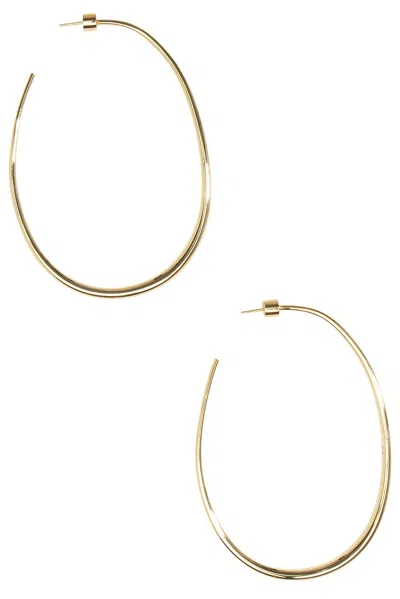 Dinosaur Designs Large Pebble Hoop Earrings In 14k Gold-plated Brass