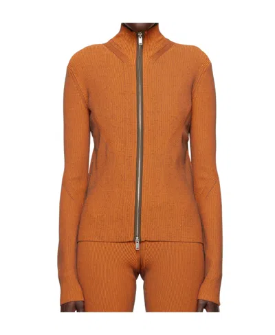 Dion Lee Angled Rib Sweater In Brown