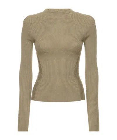 Dion Lee Rib Knit Wool Round Neck Sweater In Brown