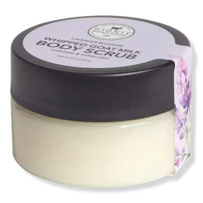 Dionis Whipped Goat Milk Body Scrub - Lavender Blossom