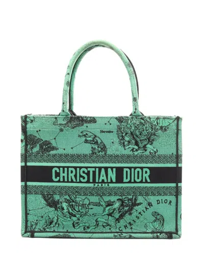 Pre-owned Dior 2000-2026 Medium Embroidered Canvas Book Tote Bag In Green