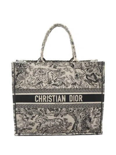 Pre-owned Dior 2000s Book Printed Tote Bag In Neutral
