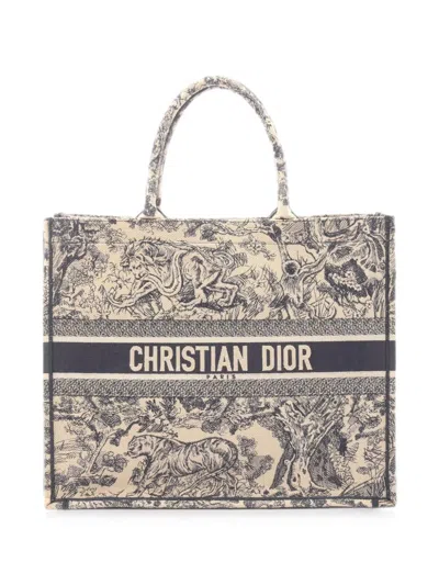 Pre-owned Dior 2000s Book Tote Canvas Tote Bag In Neutral