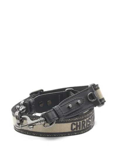 Pre-owned Dior 2000s Embroidery Leather Shoulder Strap In Neutral