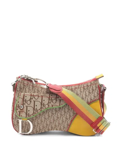 Pre-owned Dior 2000s Rasta Trotter Saddle Crossbody Bag In Neutral