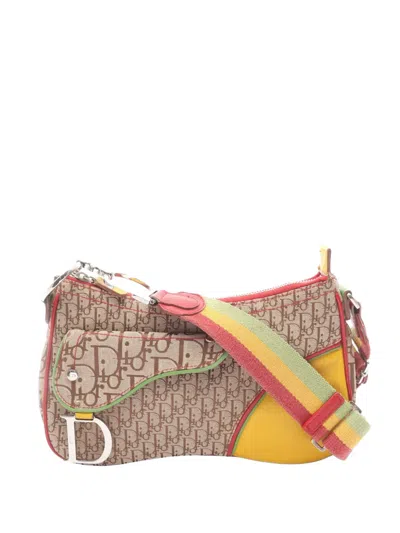 Pre-owned Dior 2000s Rasta Trotter Saddle Shoulder Bag In Neutral