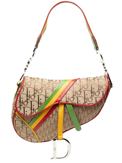 Pre-owned Dior 2004 Issimo Canvas Rasta Saddle Bag Shoulder Bag In Neutral