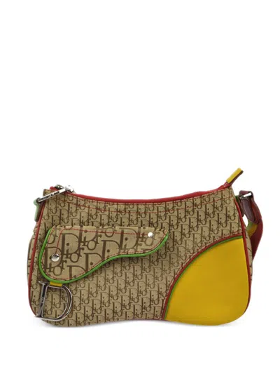Pre-owned Dior 2004 Rasta-color Trotter Saddle Shoulder Bag In 褐色