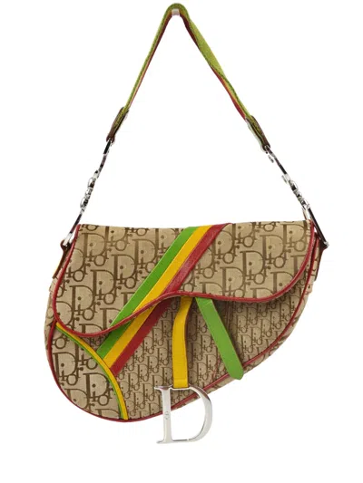 Pre-owned Dior 2004 Rasta Oblique Saddle Shoulder Bag In Neutrals