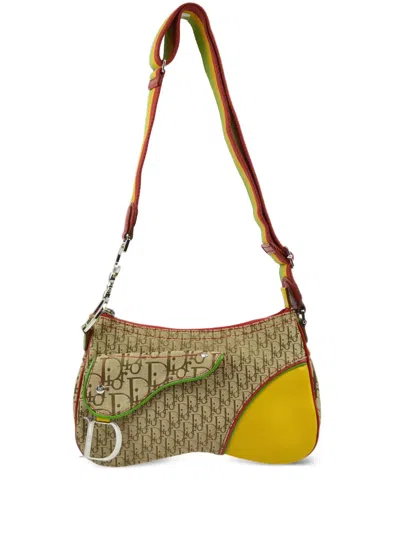 Pre-owned Dior 2004 Rasta Trotter Saddle Shoulder Bag In Neutrals