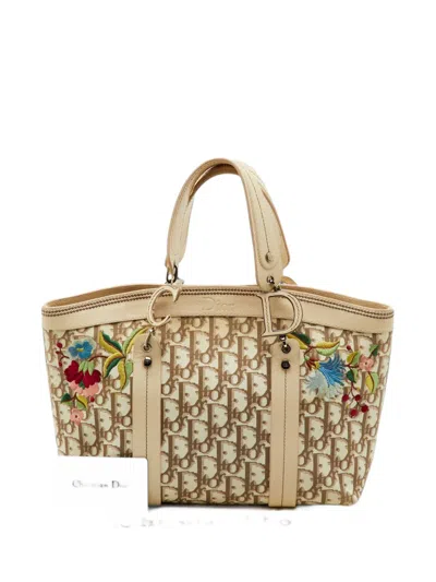 Pre-owned Dior 2005 Trotter Tote Bag In Neutrals