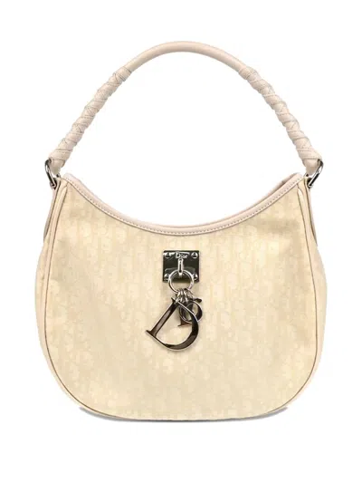 Pre-owned Dior 2007 Lovely Hobo Issimo Braided-handle Handbag In Neutral