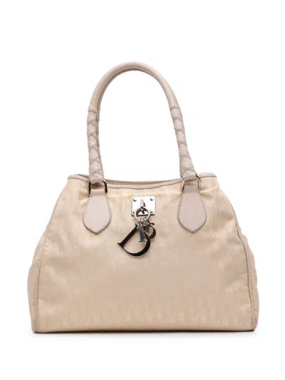Pre-owned Dior 2007 Medium Issimo Trotter Nylon Lovely Tote Bag In Brown