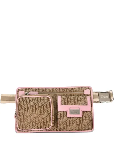 Pre-owned Dior 2007 Street Chic Belt Bag In Neutral