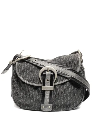 Pre-owned Dior 2007 Trotter Crossbody Bag In Gray