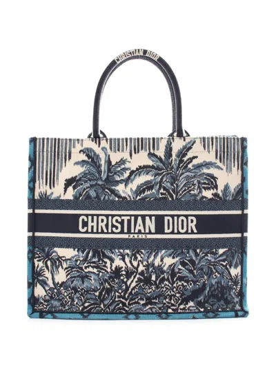 Pre-owned Dior 2010's Large Book Tote Bag In Blue